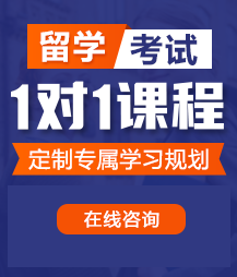 美女裸体扣逼骚穴喷水黄色网站留学考试一对一精品课